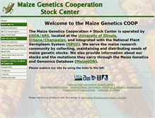 Tablet Screenshot of maizecoop.cropsci.illinois.edu
