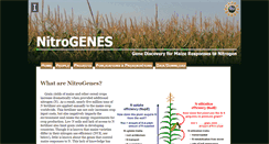 Desktop Screenshot of nitrogenes.cropsci.illinois.edu