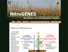 Tablet Screenshot of nitrogenes.cropsci.illinois.edu