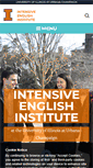 Mobile Screenshot of iei.illinois.edu